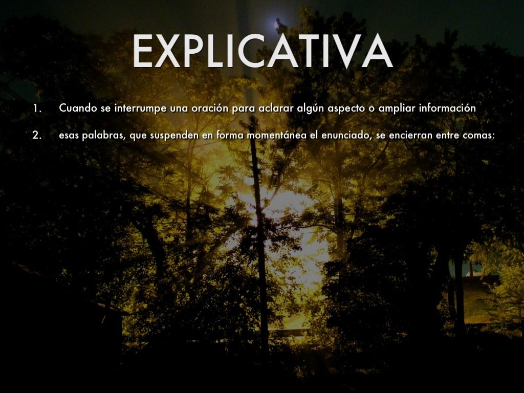 Ejemplos de coma explicativa