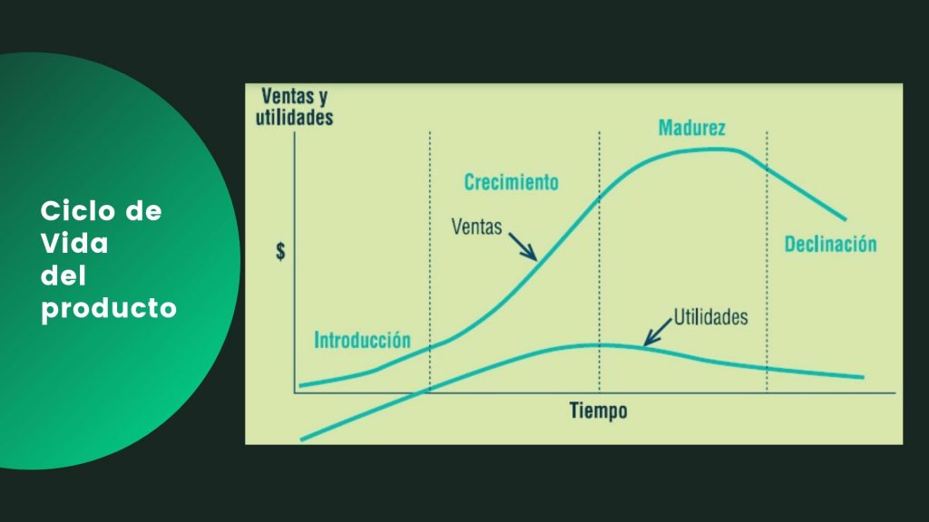 5 Ejemplos De Ciclo De Vida De Un Producto 9636